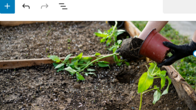 Garden Season: Growing More Than Just Food