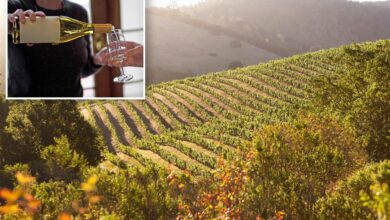 Shake up in Wine Country as Napa chiefs launch major shift