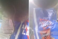 Sneaky bear snatches bag of Doritos left outside CT home, video shows
