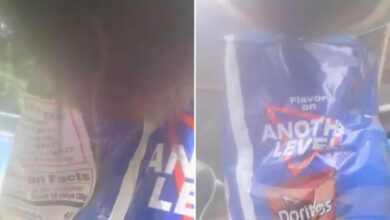 Sneaky bear snatches bag of Doritos left outside CT home, video shows