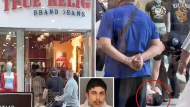 Suspected pyro caught on camera setting SoCal mall fires tried take officer’s gun, cops says