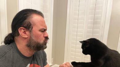 WWE Superstar Drew McIntyre Mourns Death Of His Beloved Cat, Chaz