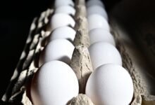 Why Experts Say Viral Frozen Egg TikTok Trend Is Dangerous