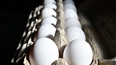 Why Experts Say Viral Frozen Egg TikTok Trend Is Dangerous