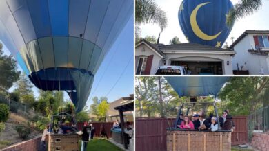 Wild video captures packed hot air balloon making emergency landing in California backyard
