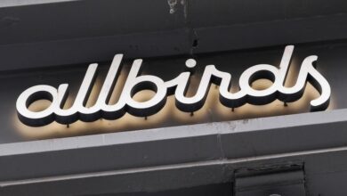 Can Allbirds take flight as an AI company?