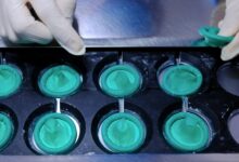 Condom maker warns prices may rise due to Iran war supply disruptions