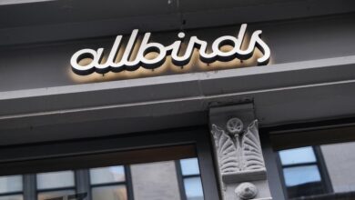 Allbirds says it’s ditching footwear and pivoting to become an AI company.