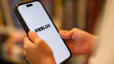 Roblox to introduce age-based accounts in latest effort to shore up safety measures
