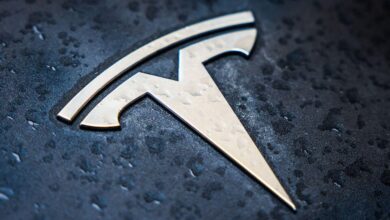 Tesla owners approved to use self-driving features in Netherlands, a first for Europe