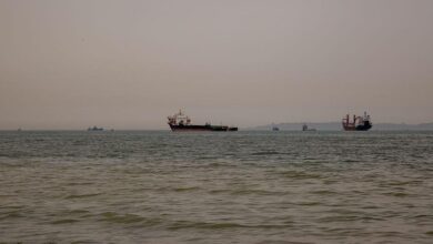 Naval escorts will likely be needed when Strait of Hormuz reopens, Chevron CEO says