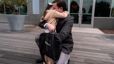 ICE arrests drop nearly 12% after Minneapolis killings, immigration shake-up