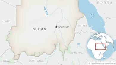 28 killed in a drone strike on a market in Sudan’s West Kordofan, rights group says