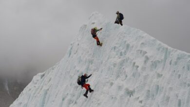 A record 274 climbers scale Mount Everest in a single day