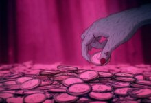 Canadian Man Allegedly Impersonates Crypto Support Agents To Drain ,000,000 From Victims