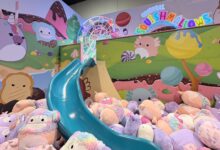 Berkshire Hathaway’s shopping extravaganza draws lighter crowds as spotlight shifts to Greg Abel