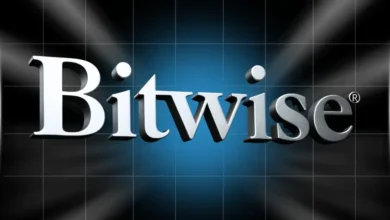 Bitwise Data Shows Institutional Crypto Adoption Entering New Phase