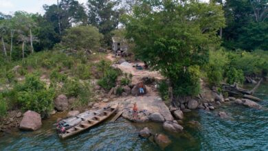 Brazilian court to rule on whether Belo Sun’s Amazon gold mine stays suspended
