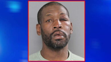 Bystanders beat man and hurled him onto Blue Line tracks after he pushed woman from platform, police say Bystanders beat man and hurled him onto Blue Line tracks after he pushed woman from platform, police say