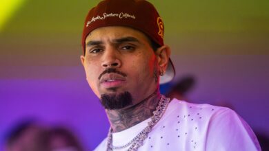 Chris Brown’s Ex-Housekeeper Fighting To Show Horrific Dog Attack Photos in Court