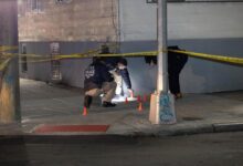 City cure violence groups raking in the bucks