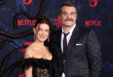 David Harbour Reunites With Stranger Things Cast After Drama