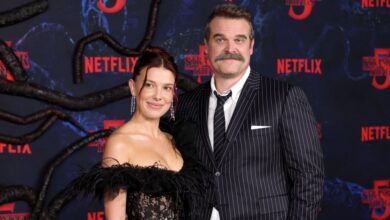 David Harbour Reunites With Stranger Things Cast After Drama