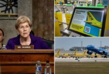 Elizabeth Warren blasted for cheering blocking of merger that might have saved Spirit Airlines