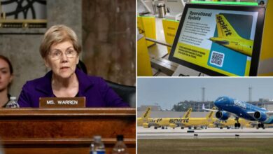 Elizabeth Warren blasted for cheering blocking of merger that might have saved Spirit Airlines