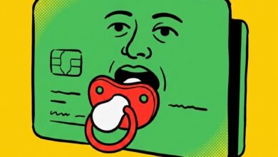 Experian’s Billion-Dollar Pacifier Fails to Calm the AI Panic