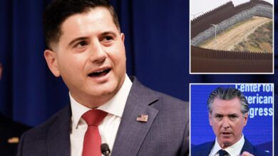 Feds push back on sanctuary policies to keep dangerous illegal immigrants in custody Feds push back on sanctuary policies to keep dangerous illegal immigrants in custody