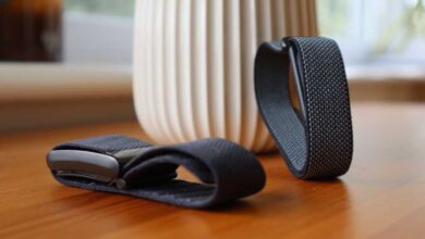 Fitbit Air vs Whoop Strap Comparison: Price, Features and AI