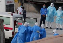 Hantavirus Unlikely To Be Next Pandemic: WHO