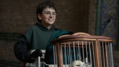 ‘Harry Potter’ Agent Signals Support for Paramount-Warner Bros Merger