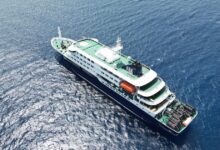 How hantavirus may have spread aboard a cruise ship, according to health experts