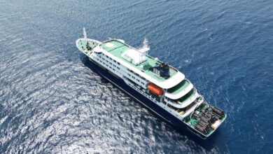 How hantavirus may have spread aboard a cruise ship, according to health experts