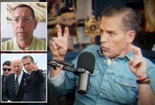 Hunter Biden claims Israeli intelligence is behind corruption allegations against him and Joe