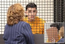 Illegal migrant freed by Biden and accused of killing innocent dad cowers in court