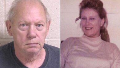 Illinois man Albert Zigler charged in cold case murder of Randy Gail Sperino