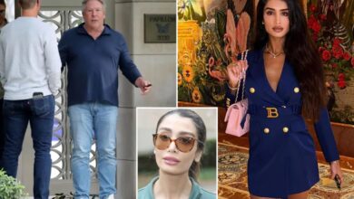 Insiders release fresh details of Stephen Cloobeck’s arrest