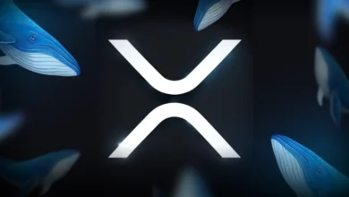 When Will XRP Price Hit a New All-Time High?