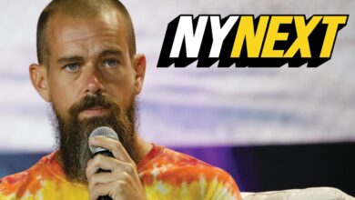 Jack Dorsey puts updated Vine back on the App Store