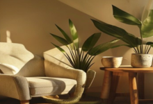 Lifestyle Focus: How to Create Your Own Home Sanctuary on a Budget