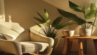 Lifestyle Focus: How to Create Your Own Home Sanctuary on a Budget