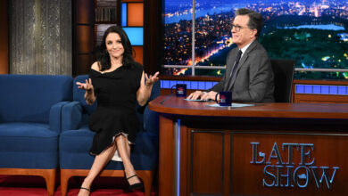 Julia Louis-Dreyfus Roasts Stephen Colbert as Selina Meyer From ‘Veep’ Julia Louis-Dreyfus Roasts Stephen Colbert as Selina Meyer From ‘Veep’