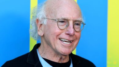 Larry David Script Leaks Online: Read ‘Prognosis: Negative’