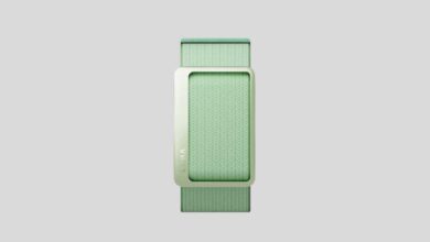 Luna Band Details Official as Fitbit Air Rival Luna Band Details Official as Fitbit Air Rival