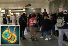 Mall chaos as Westfield Topanga is forced to close over viral watch collab
