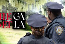 Met Gala Red Carpet Protest Attempt Foiled, On Video