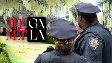 Met Gala Red Carpet Protest Attempt Foiled, On Video